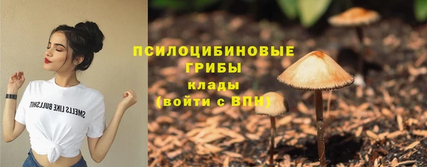 гидропоника Абинск