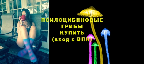 молекула духа Алексеевка