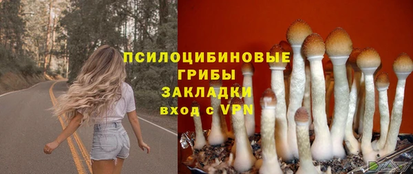 молекула духа Алексеевка