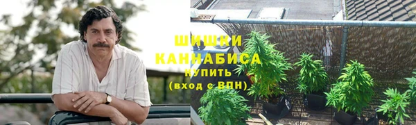 молекула духа Алексеевка