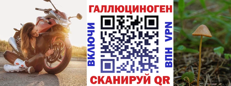 Галлюциногенные грибы прущие грибы Стерлитамак